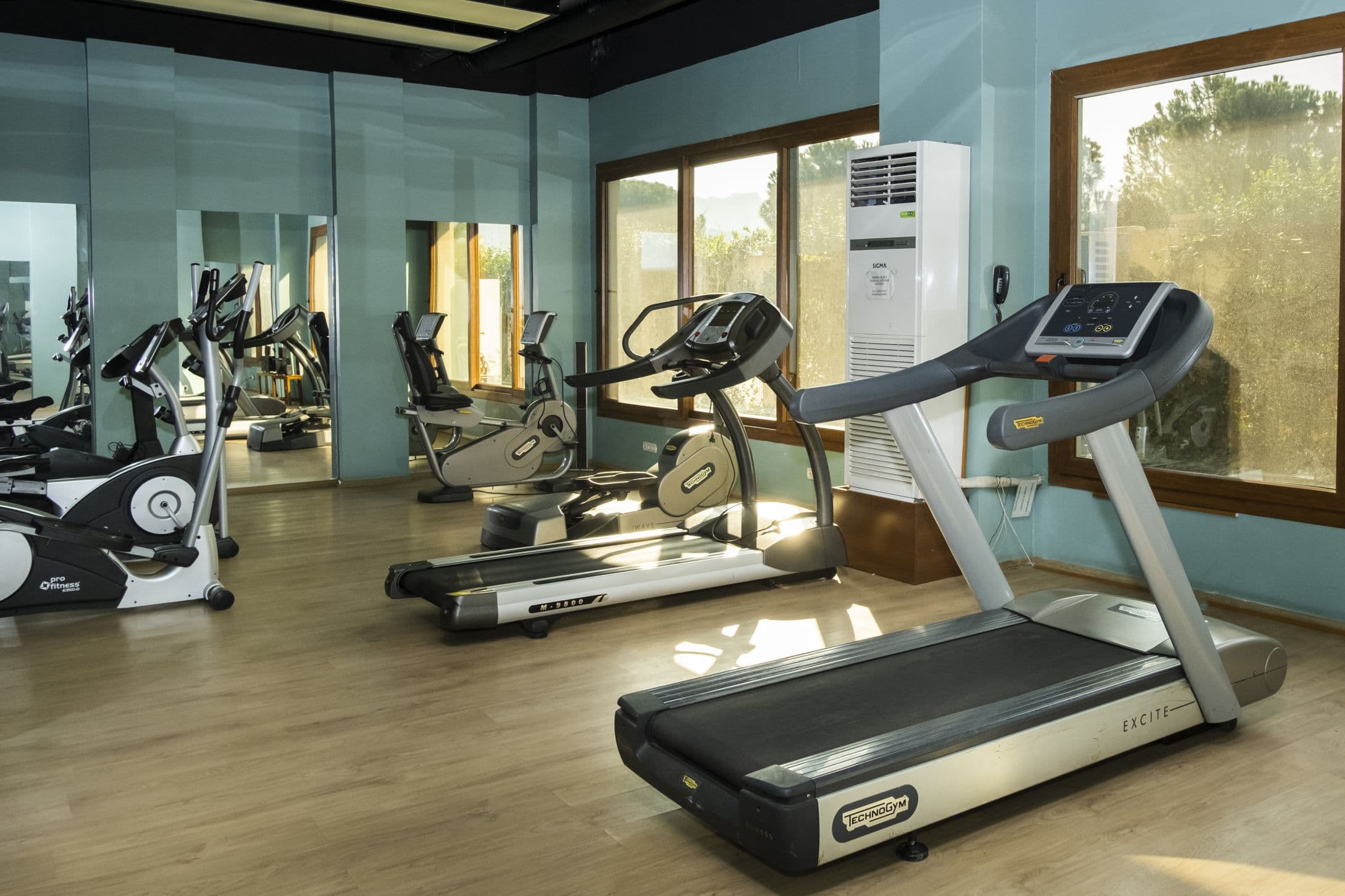 Lidya Sardes Hotel Thermal & Spa-25