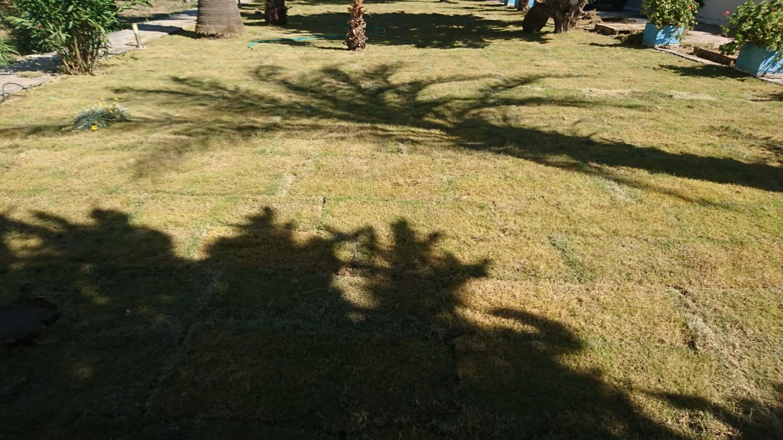 Sarsılmaz Otel Bodrum-36