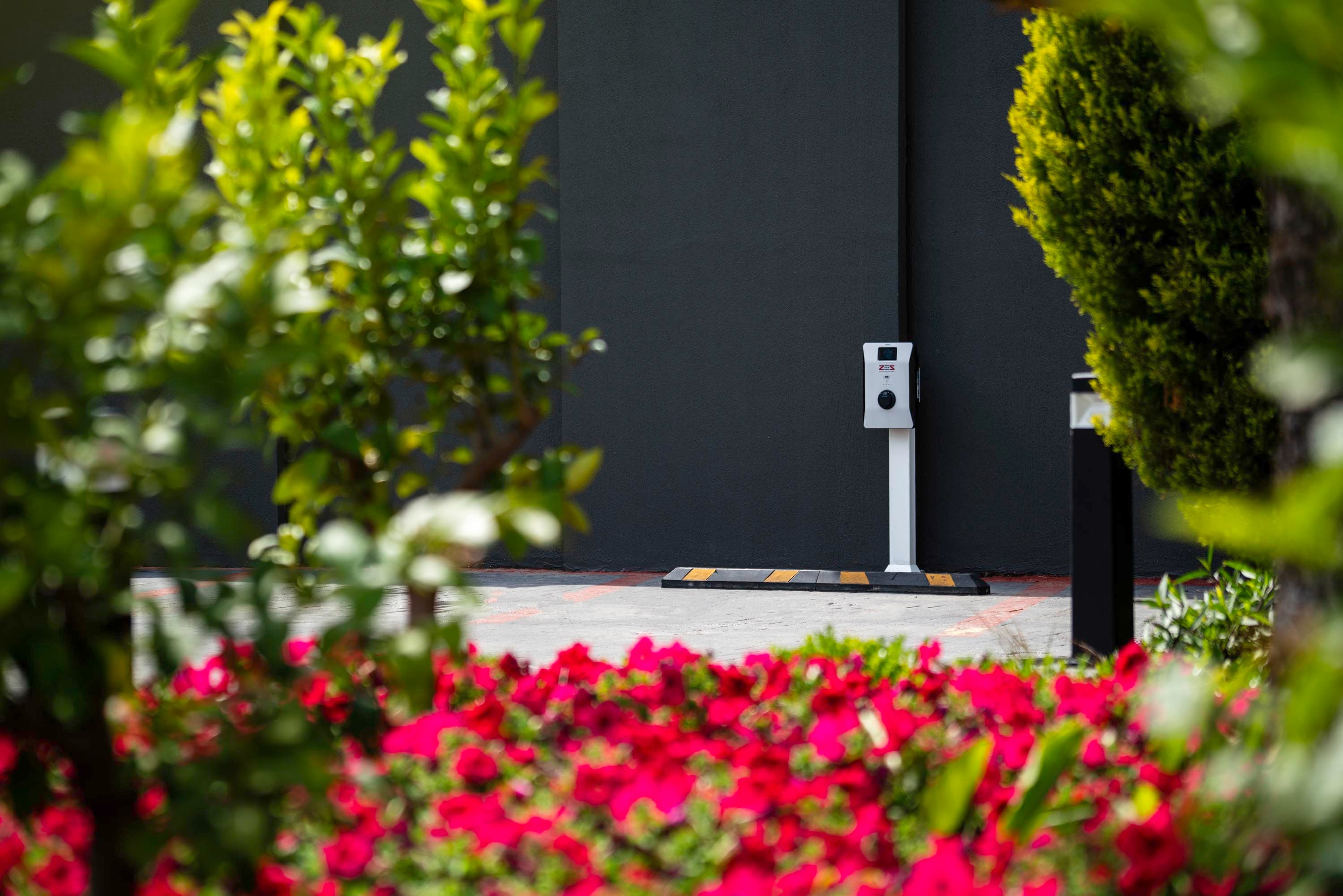 Sidera Kirman Premium-17