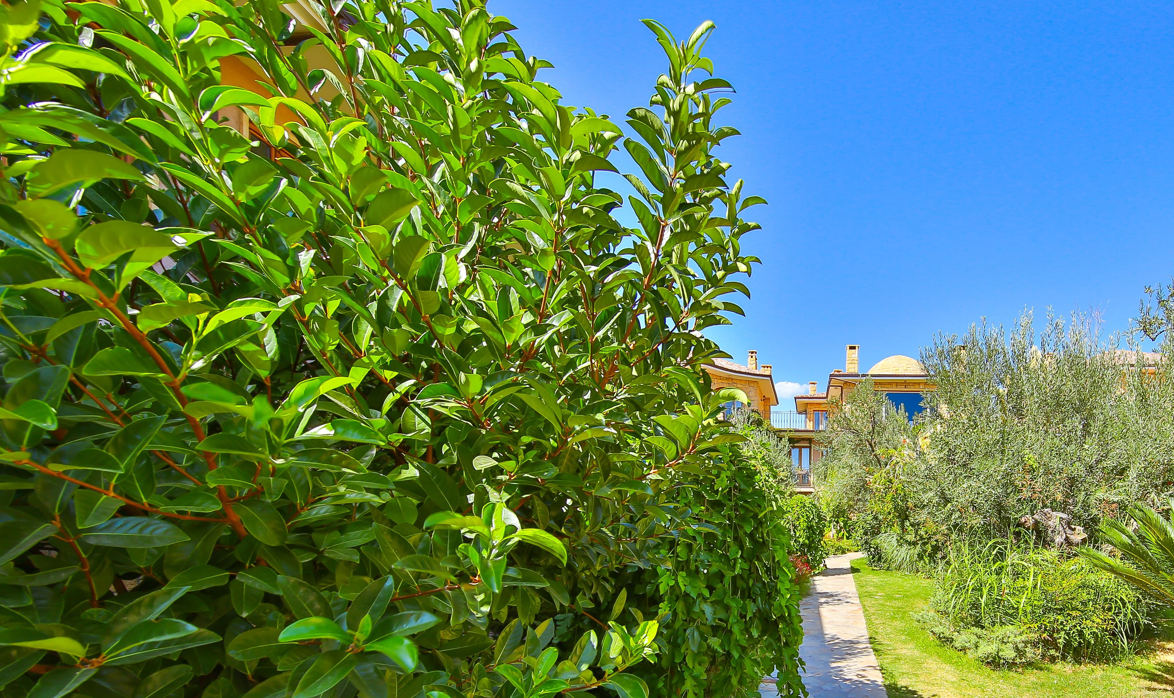 Palace Hotel Olive Odore-43