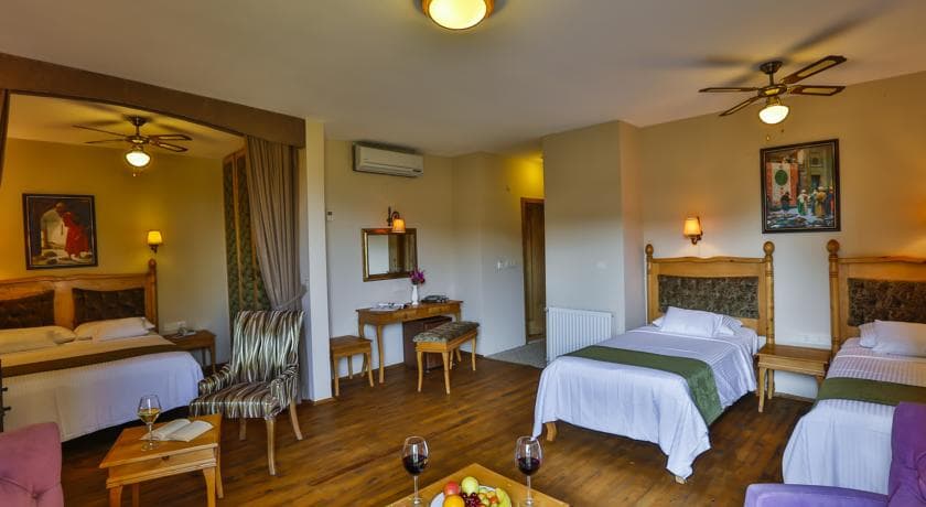 Palace Hotel Olive Odore-71