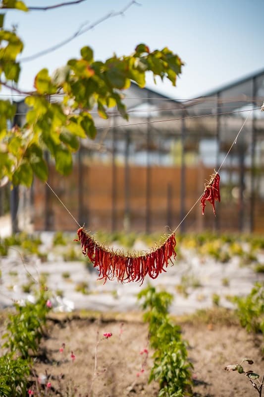 Pınar Otel Erdek-33