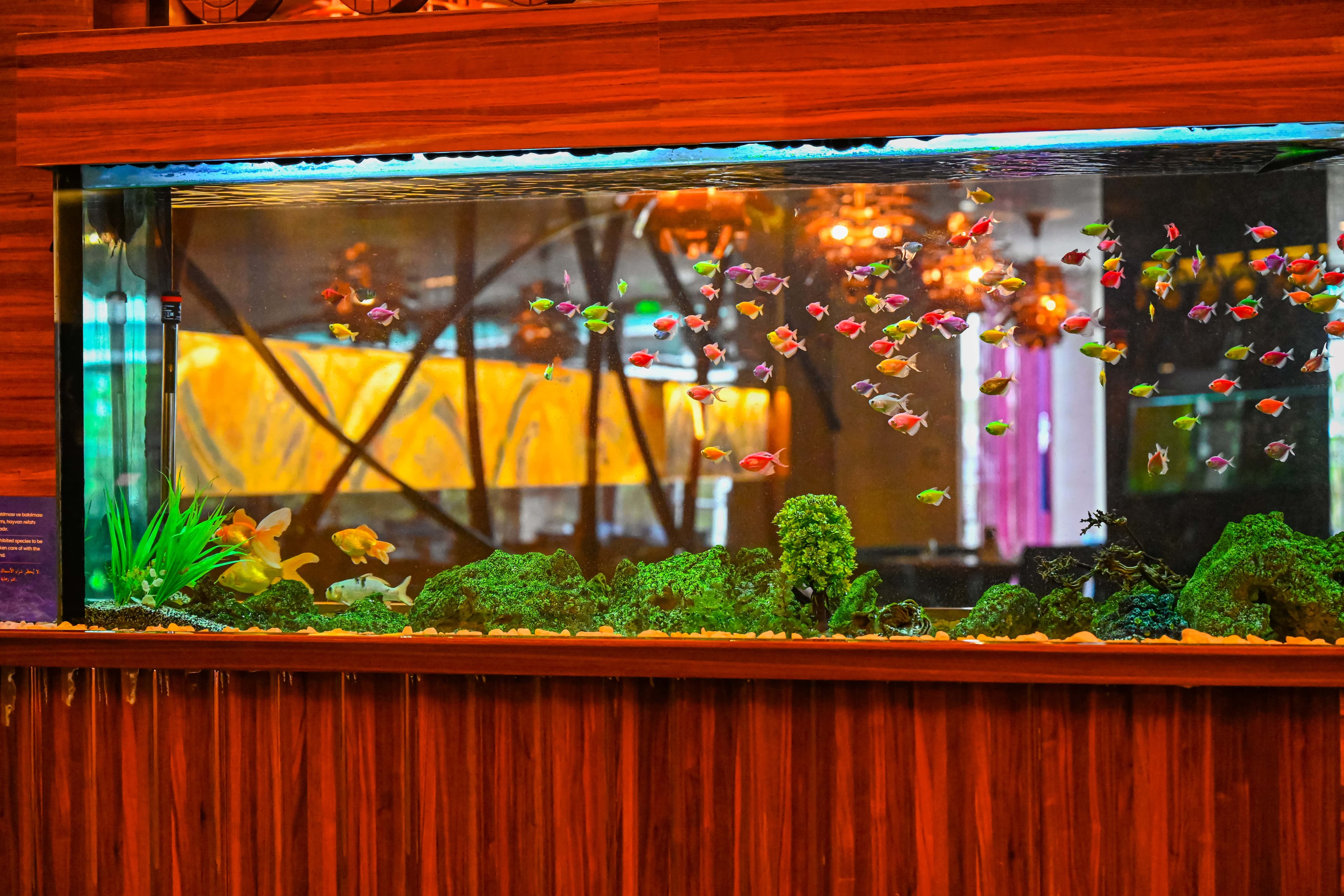 Gold Majesty Hotel Bursa-37