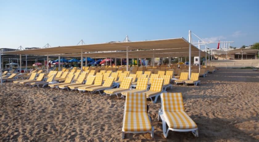 Dream Family Club-31