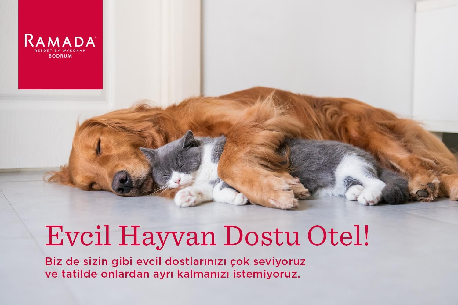 Ramada Resort by Wyndham Bodrum -6