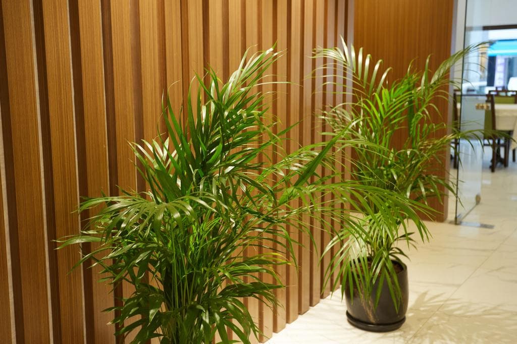 Mira Otel Alsancak-9