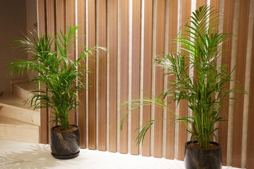 Mira Otel Alsancak-8