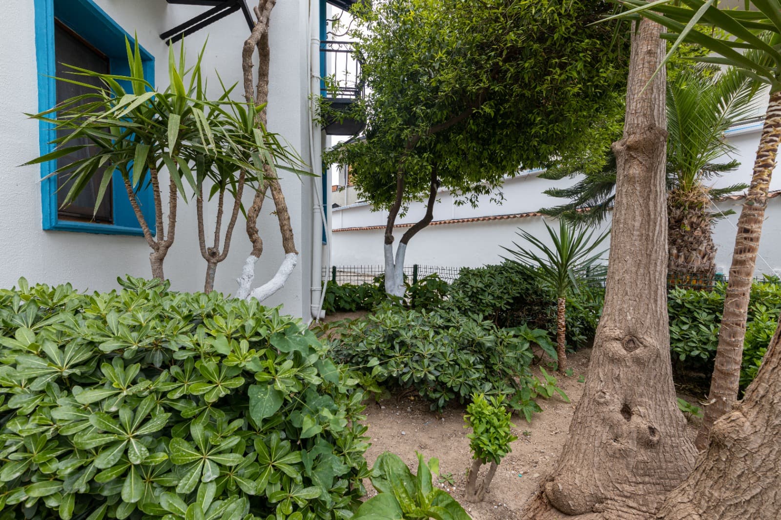 Amfora Hotel Bodrum-20