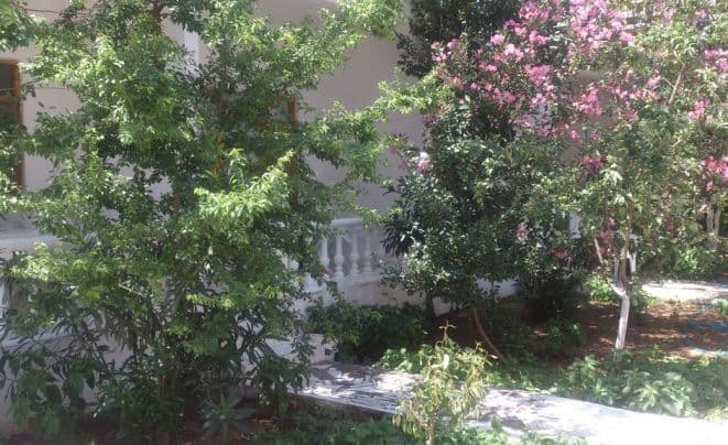 Erdinç Tatil Evleri-17