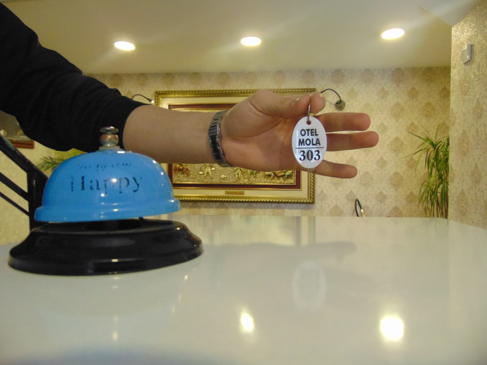 Otel Mola Balıkesir-resim-2