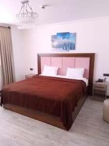 Chalet Khione Sarıkamış-9