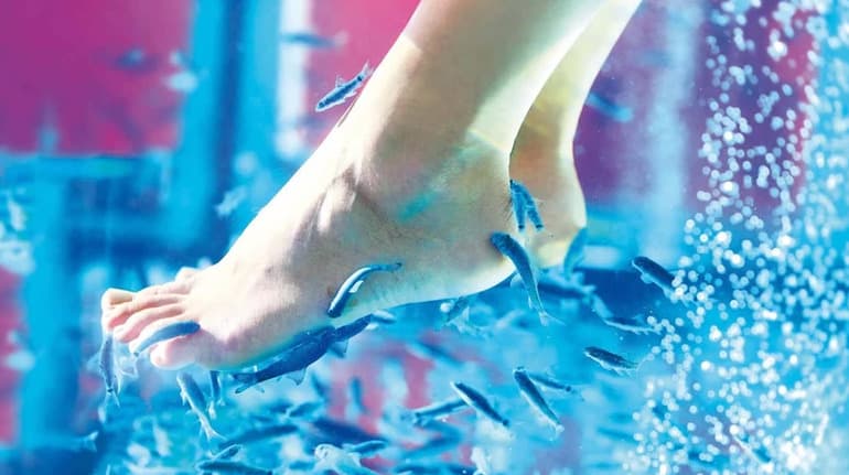 Elitium Dizayn Thermal Hotel-17