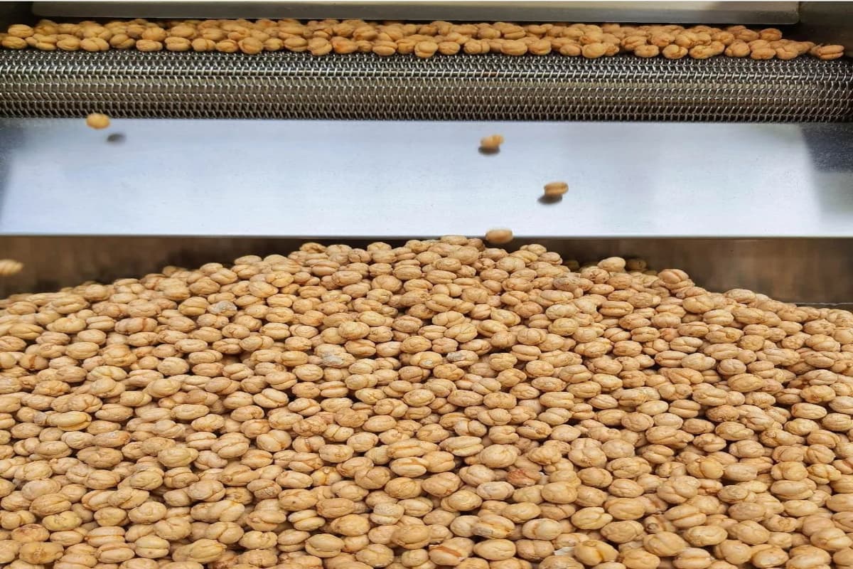 Clovers Thermal Resort & Spa-20