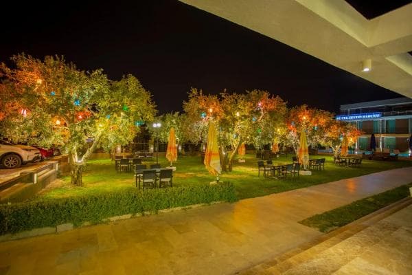 Hotel Zeytin Bahçesi-100