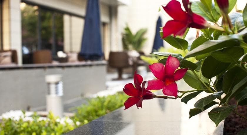 Volley Hotel İzmir-9