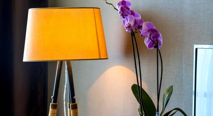 Royal Comfort Hotel-44