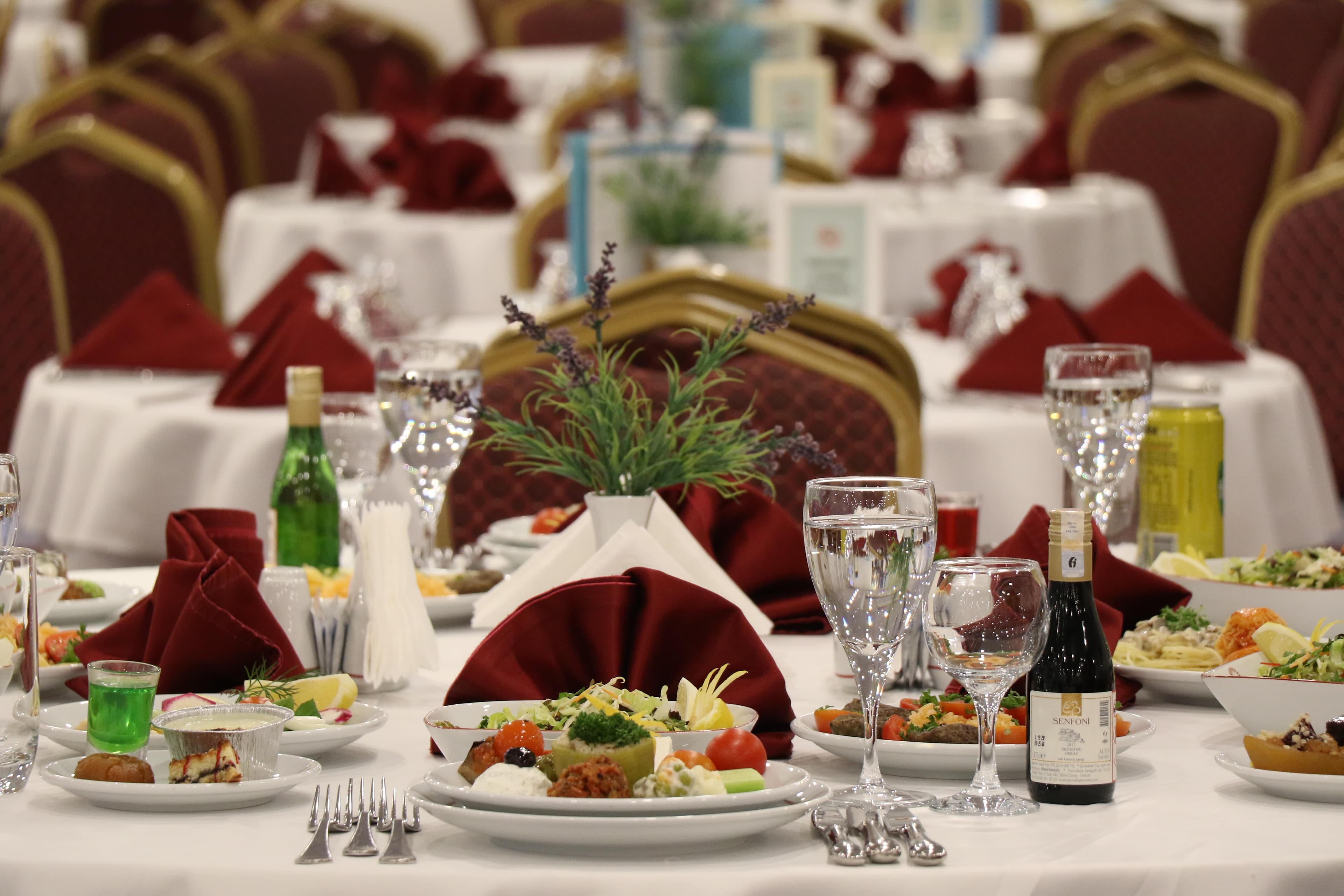 Pam Thermal Hotel-48