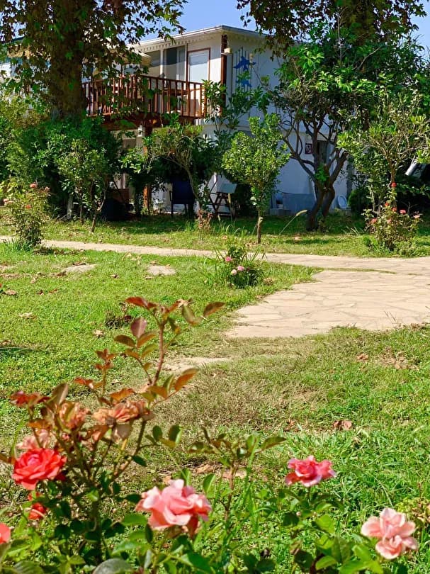 Marvel Tree Hotel-17