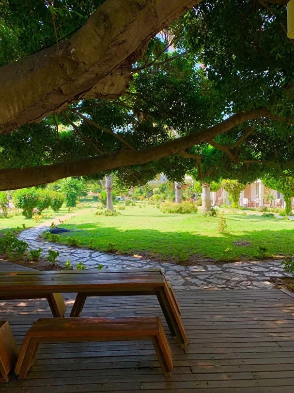 Marvel Tree Hotel-31