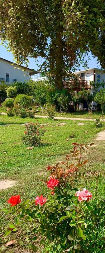 Marvel Tree Hotel-21