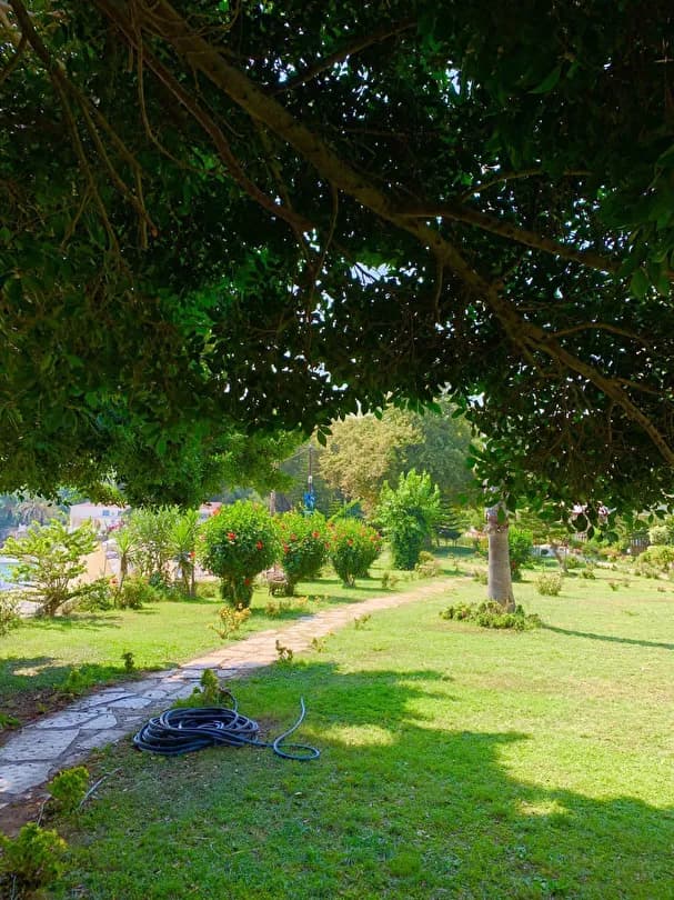 Marvel Tree Hotel-33