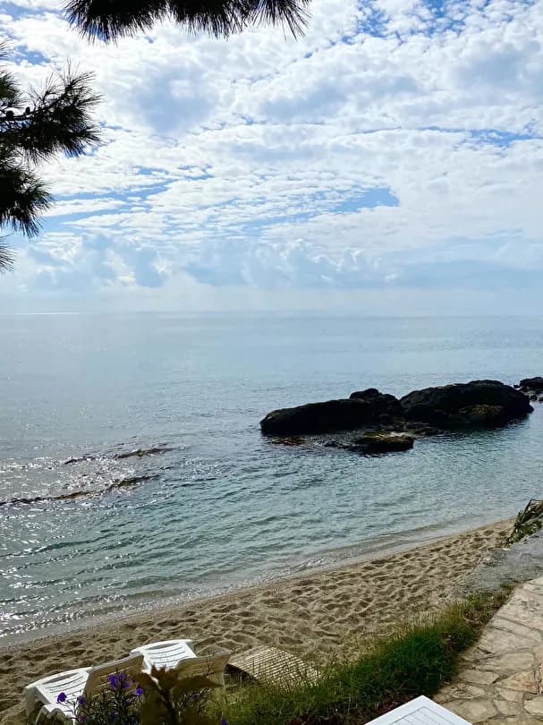 Marvel Tree Hotel-40