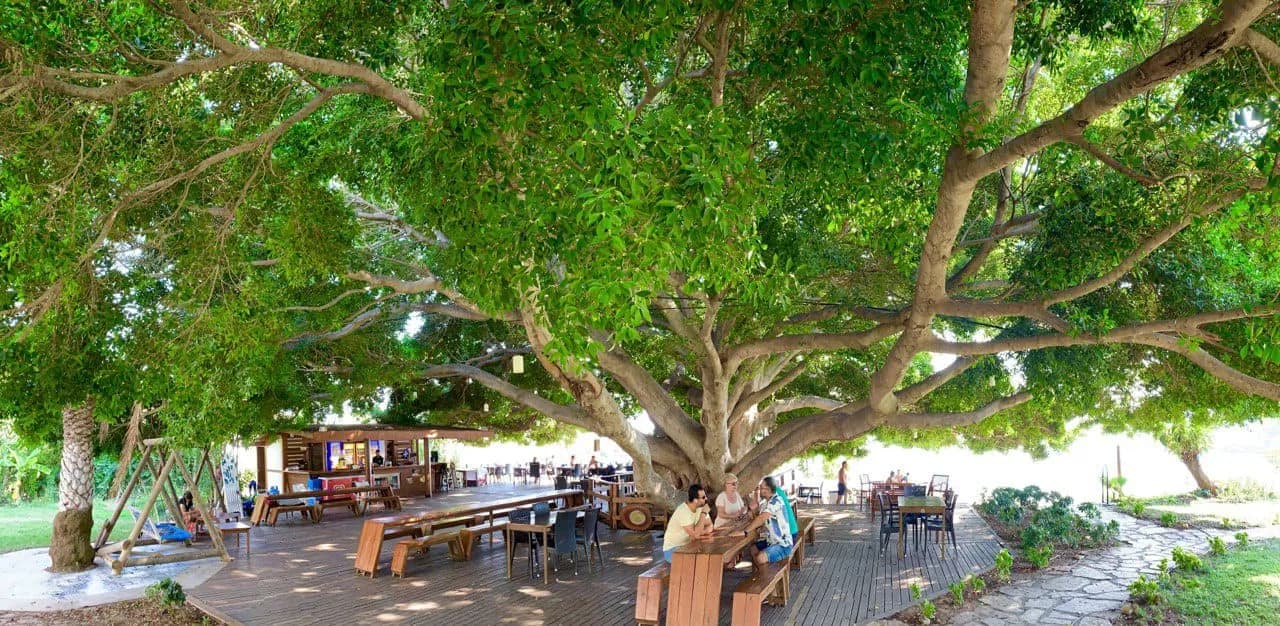 Marvel Tree Hotel-23