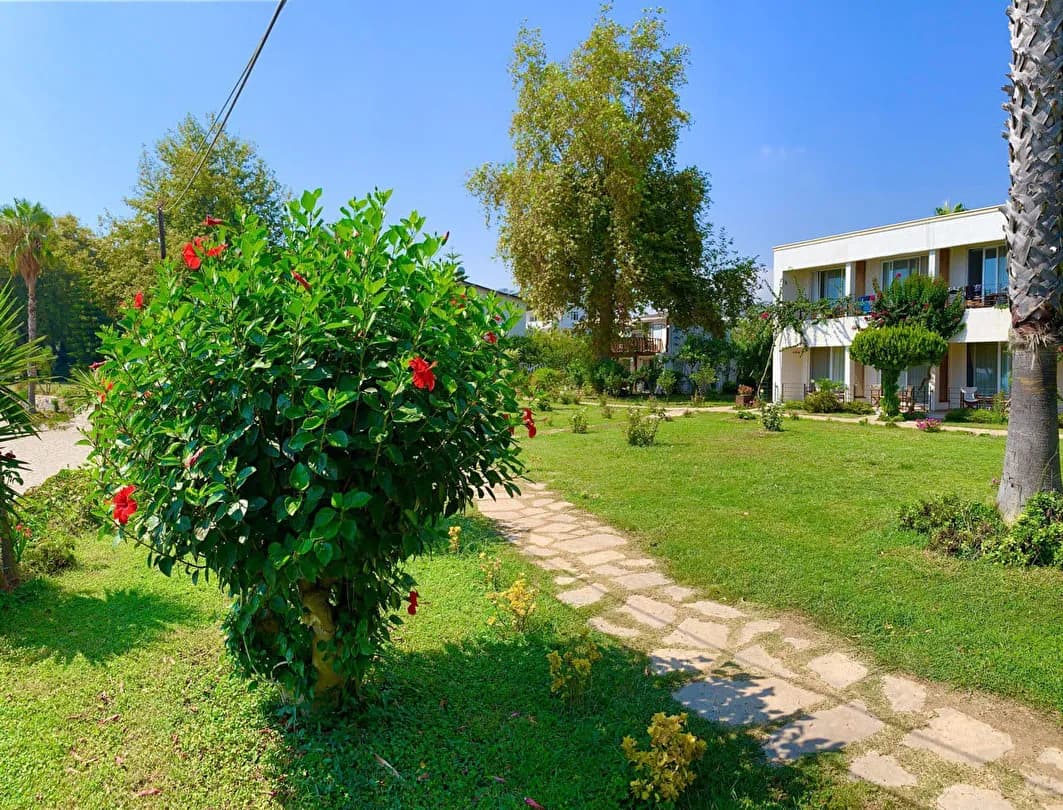 Marvel Tree Hotel-13