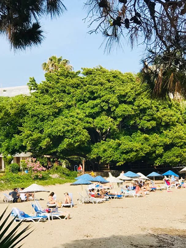 Marvel Tree Hotel-22