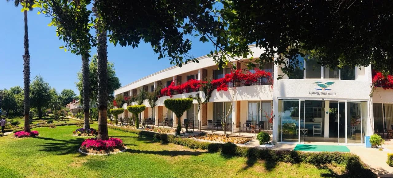 Marvel Tree Hotel-35