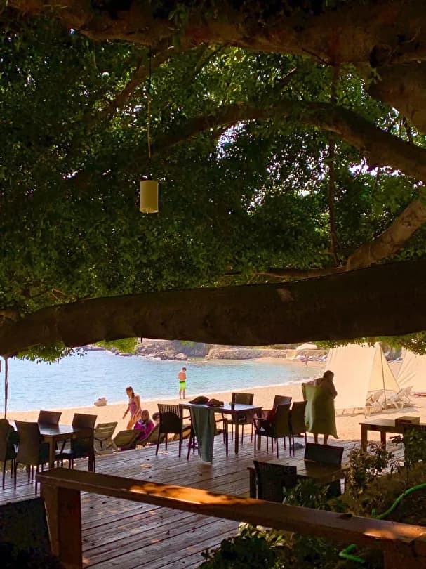 Marvel Tree Hotel-28