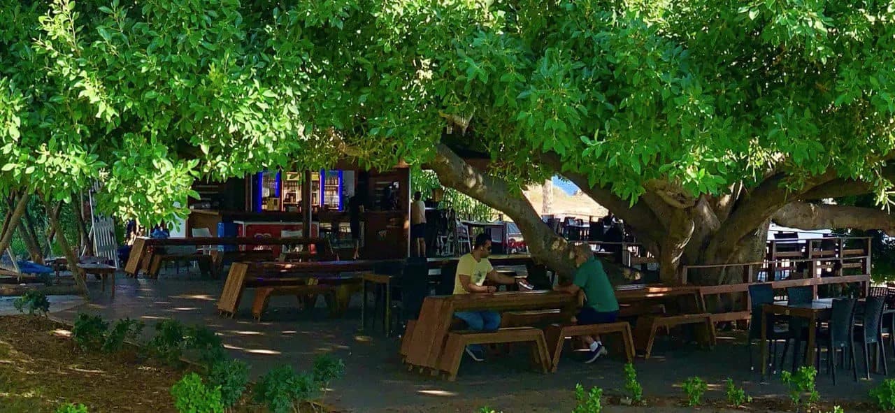 Marvel Tree Hotel-27