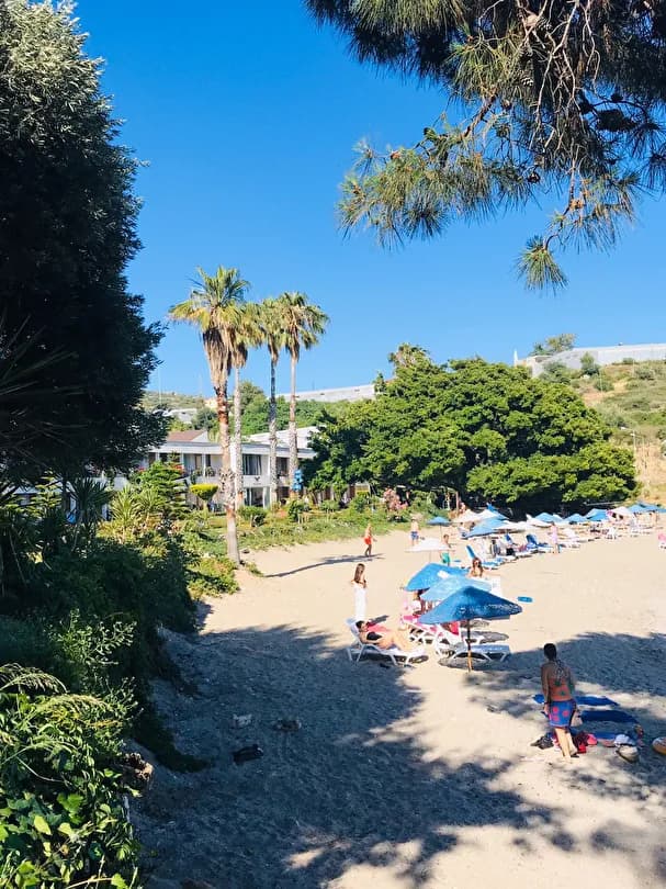 Marvel Tree Hotel-16