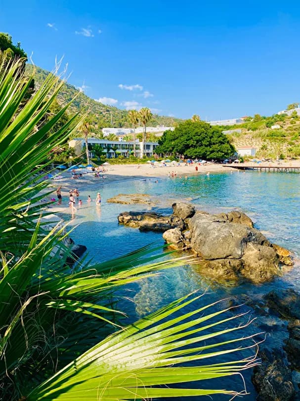 Marvel Tree Hotel-18