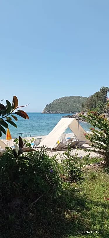 Marvel Tree Hotel-24