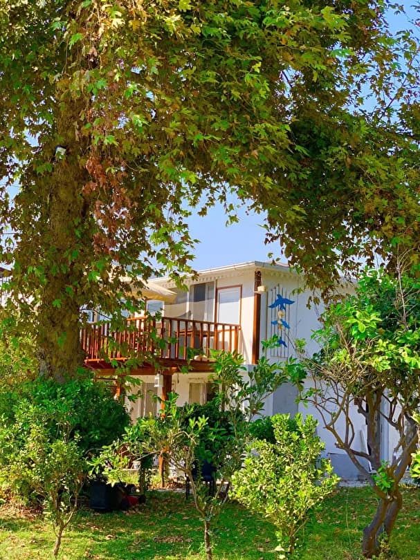 Marvel Tree Hotel-19