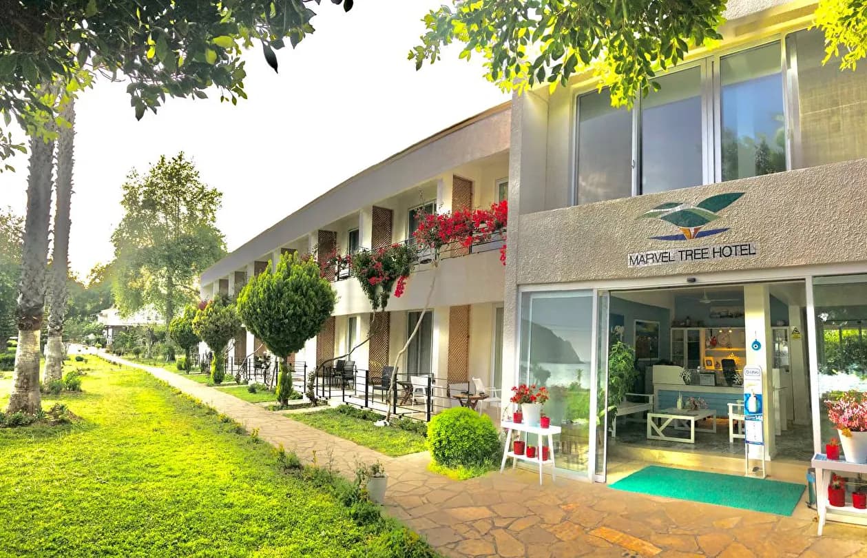 Marvel Tree Hotel-41