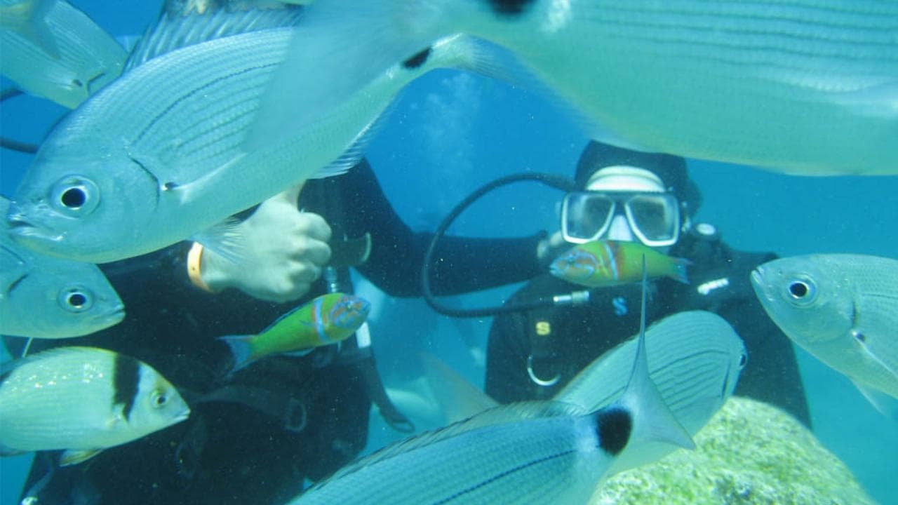 Şah Inn Paradise Otel-61