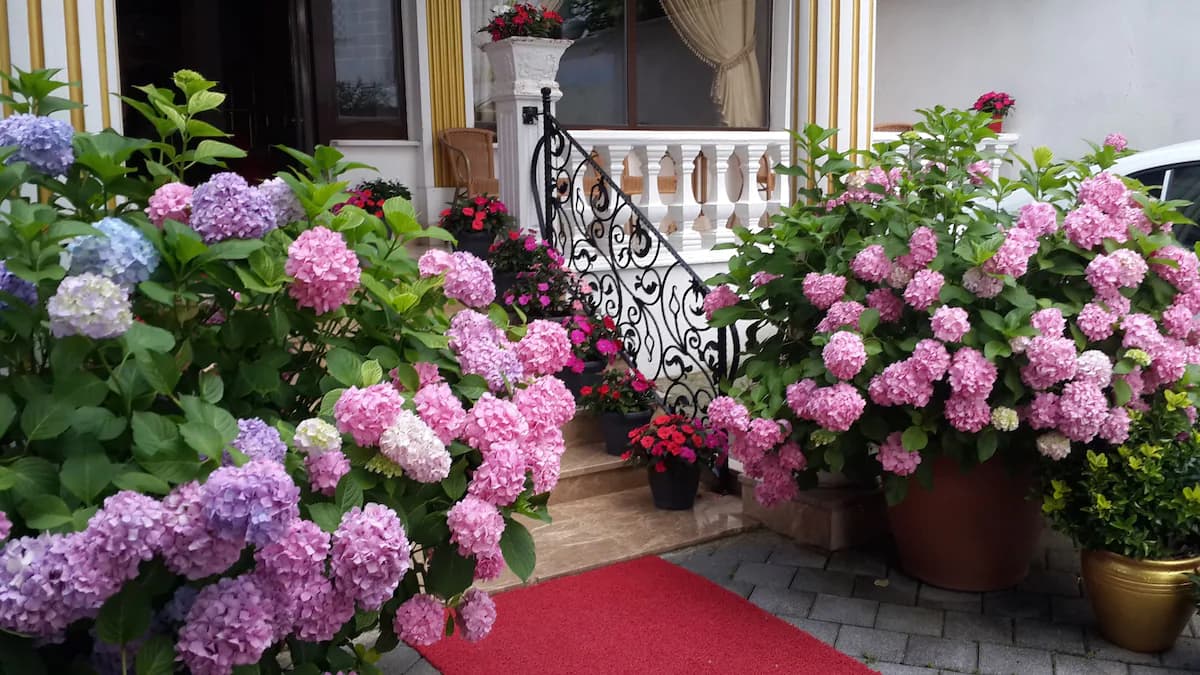 Termal Elit Hotel-18