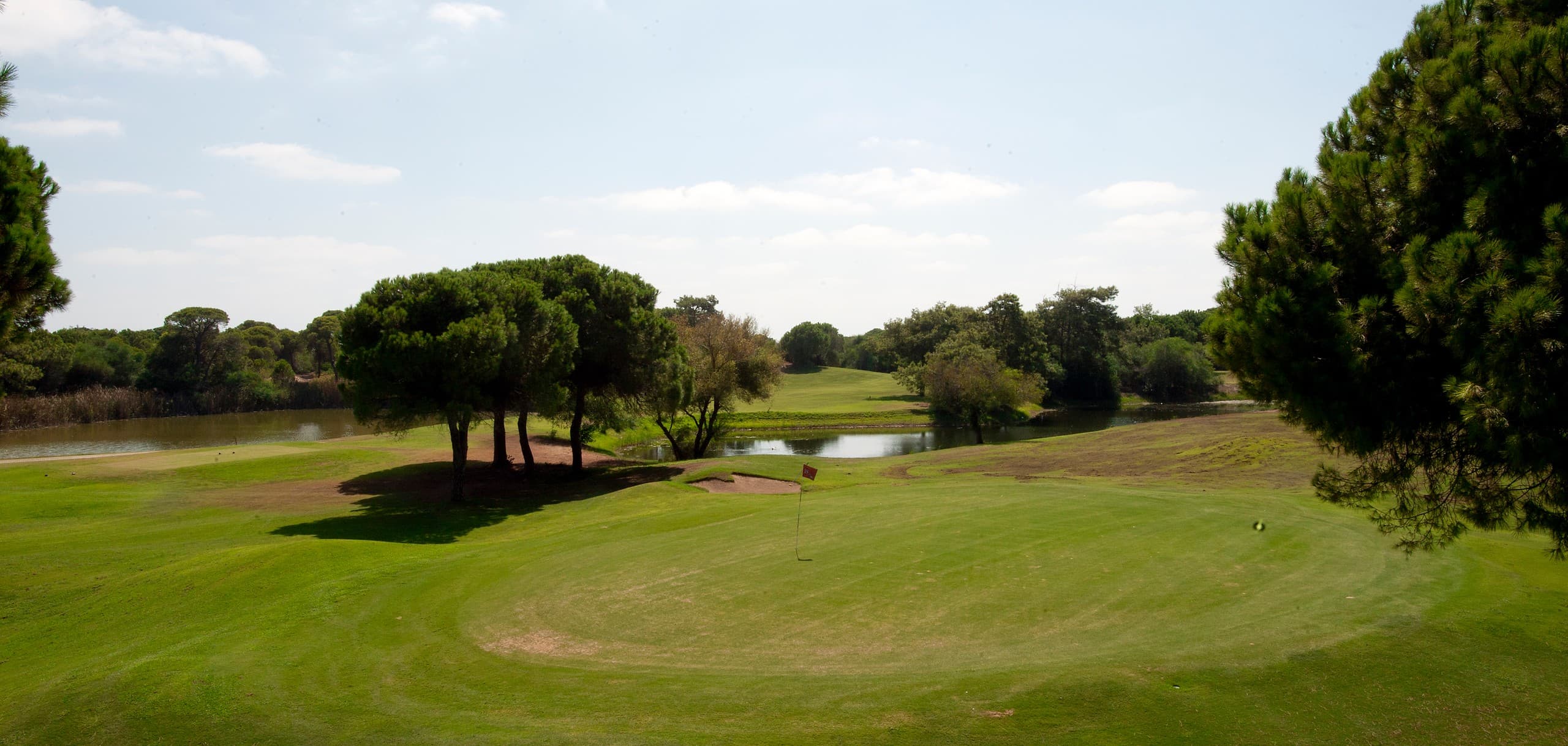 Crystal Tat Beach Pearl Collection-41