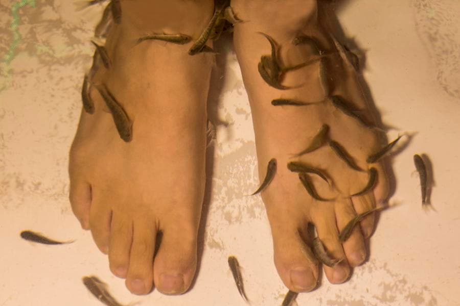 Divaisib Termal Resort Otel-24