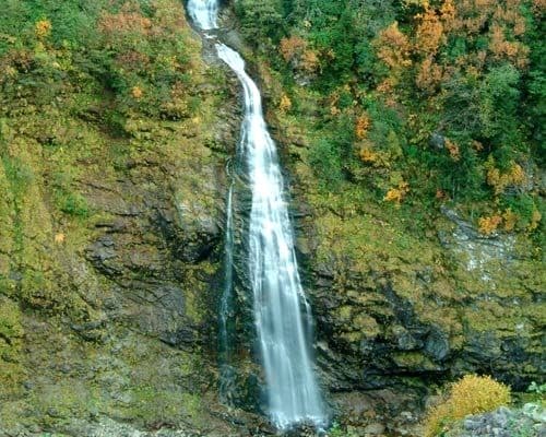 Otel Ayder Haşimoğlu-7