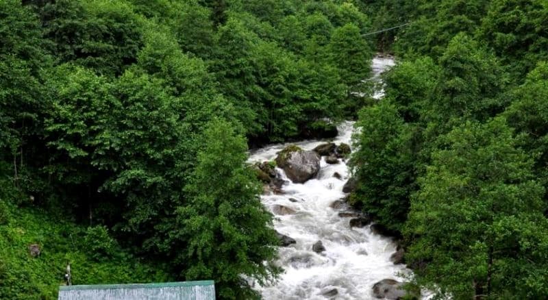 Otel Ayder Haşimoğlu-4