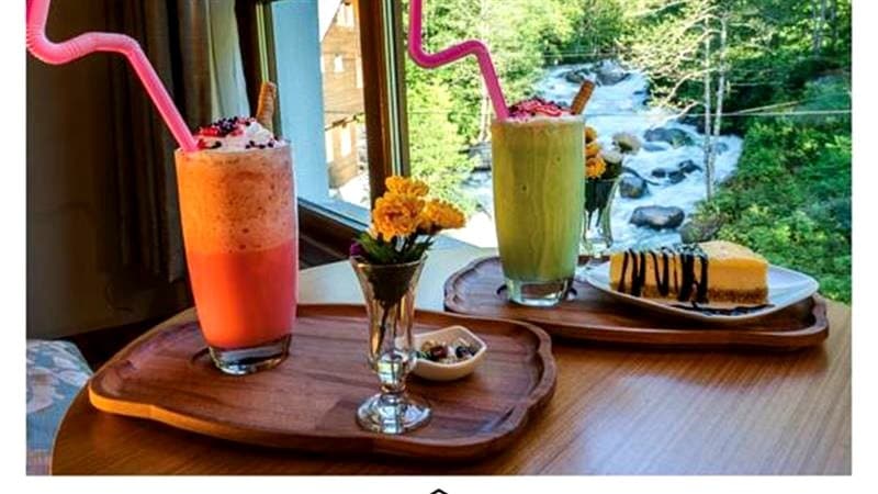 Otel Ayder Haşimoğlu-12