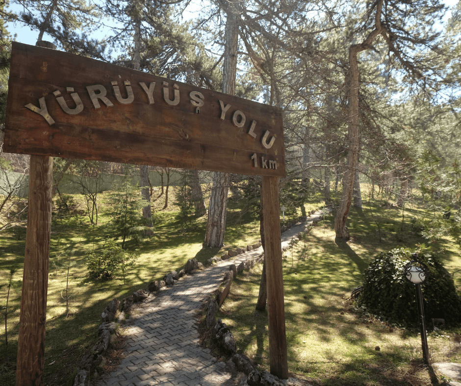 Patalya Thermal Resort Hotel-34