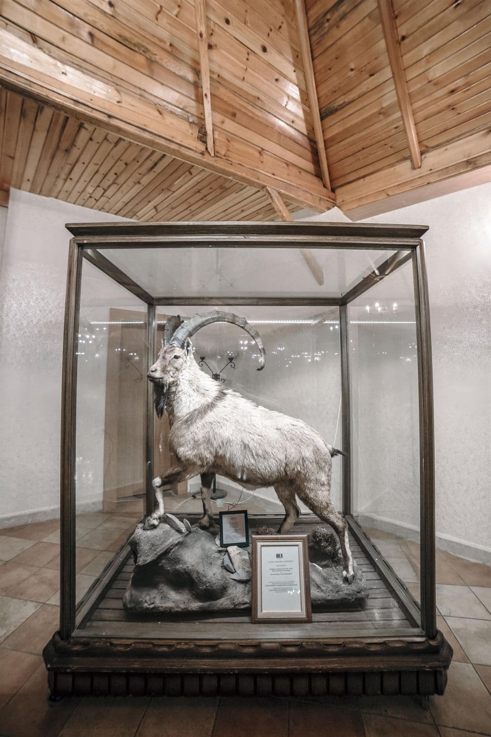 Patalya Thermal Resort Hotel-26