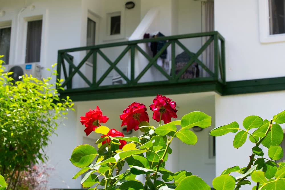 Herakles Thermal Hotel-58