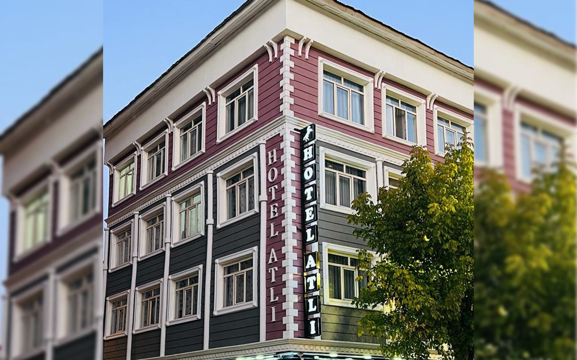 Atlı Otel Bingöl-4