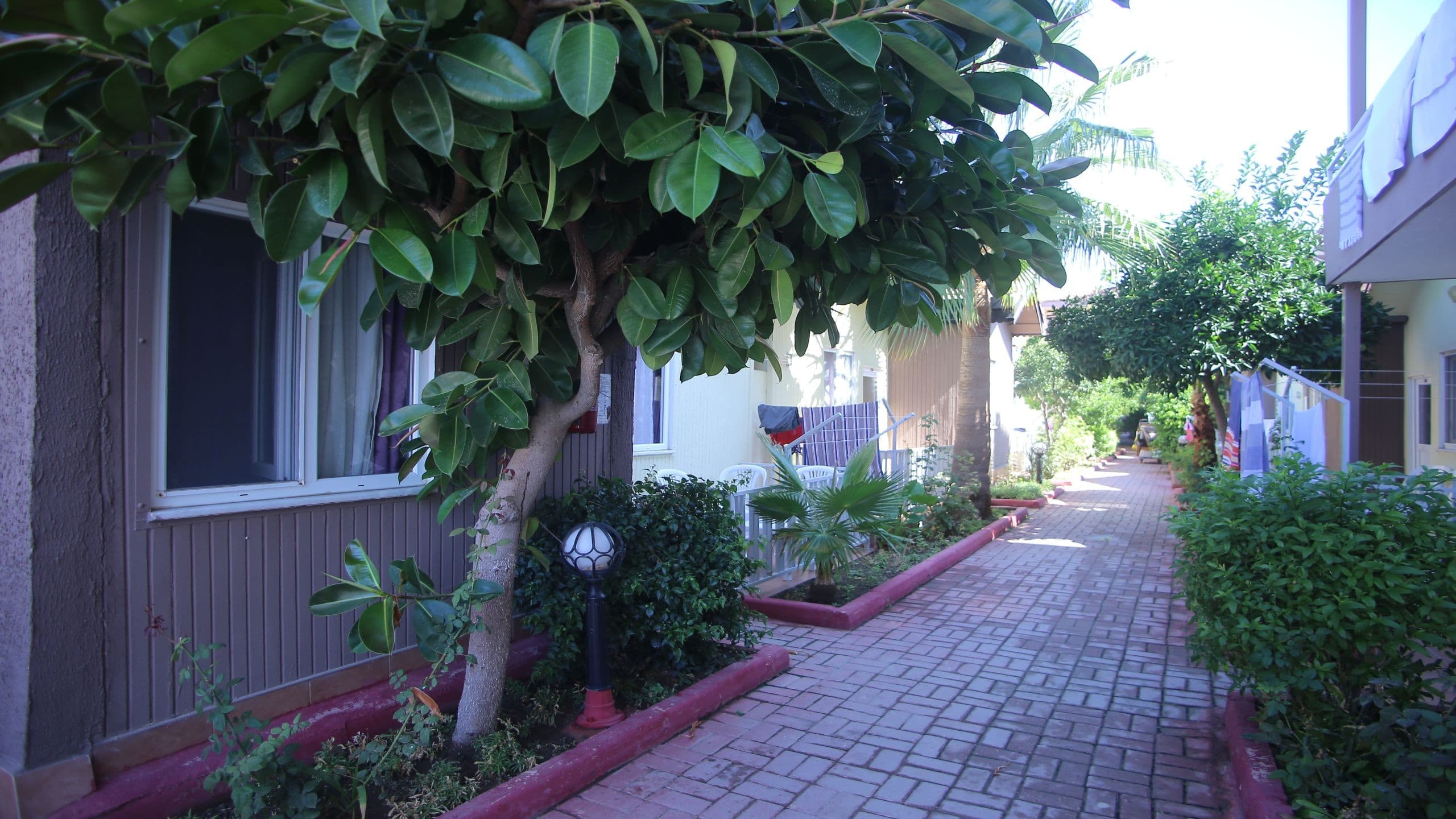 Sayanora Hotel & Park-12