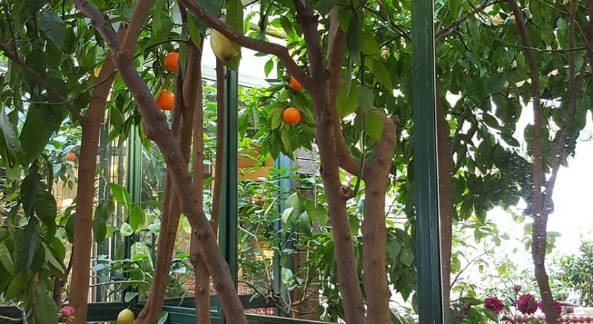 Boyugüzel Termal Hotel-16